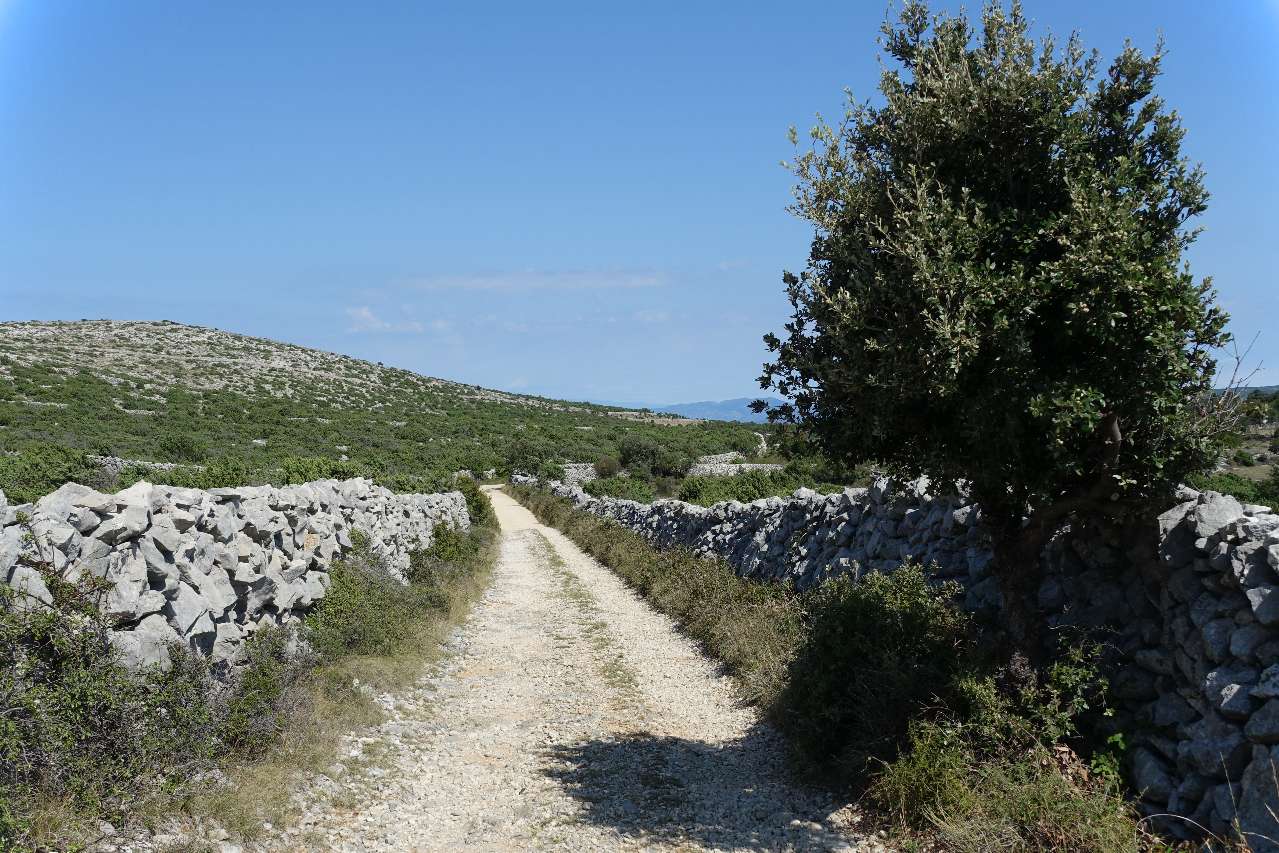 trail on Cres Island in Croatia
