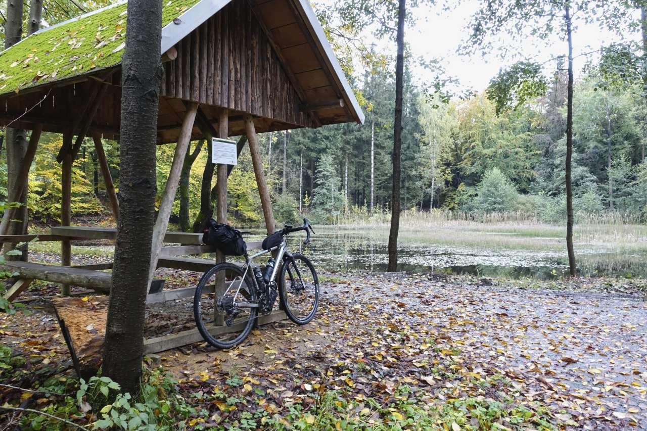 Gravel bike at a forest picnic area in Saxony Germany