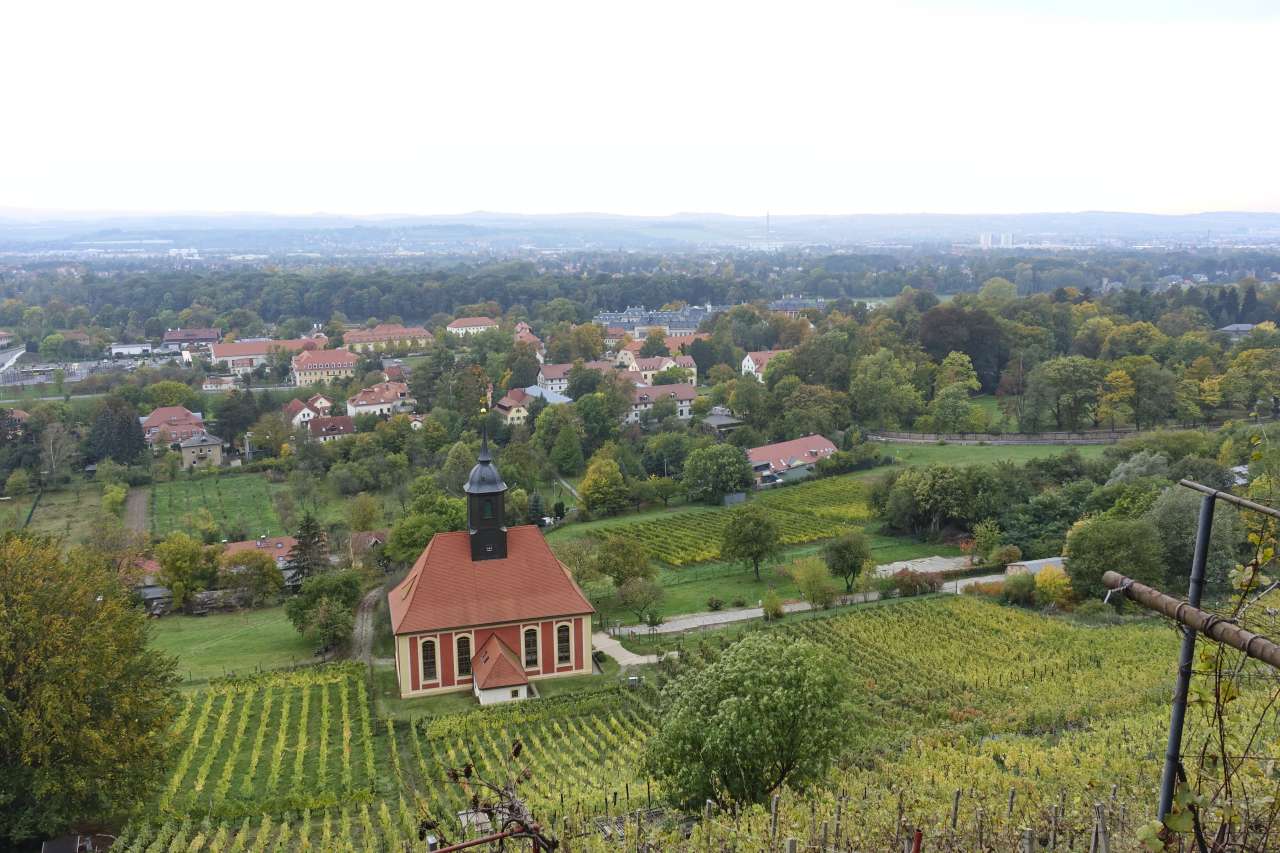 vineyard and vineyard church in Pillnitz Saxony Germany