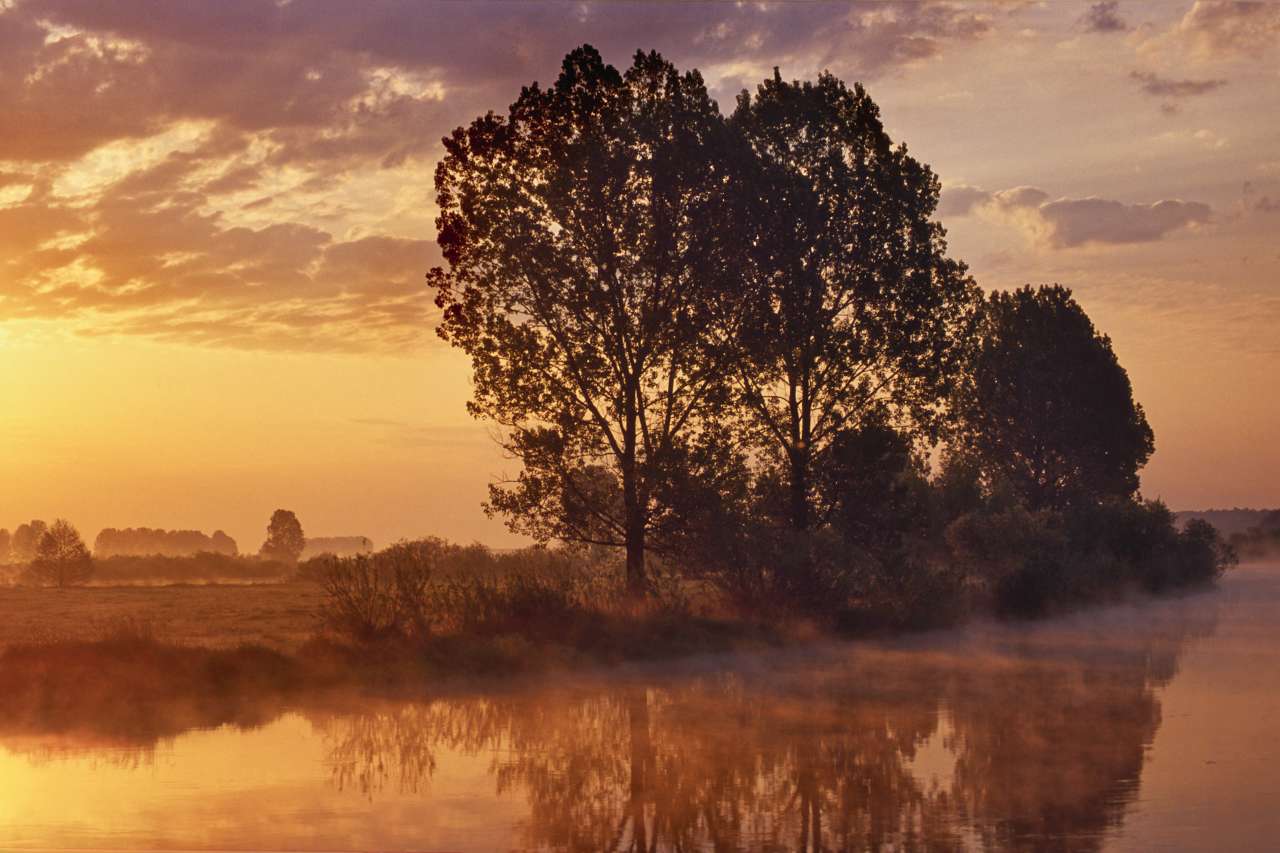 Morgendämmerung am Fluss Biebrza im Nordosten Polens