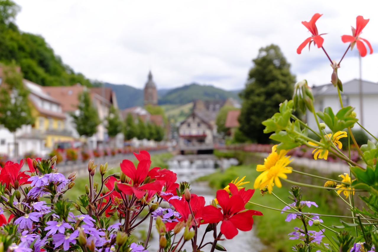A typical small town in Black Forest, Germany. Colorful flowers in the front, a creek and the town in the background.