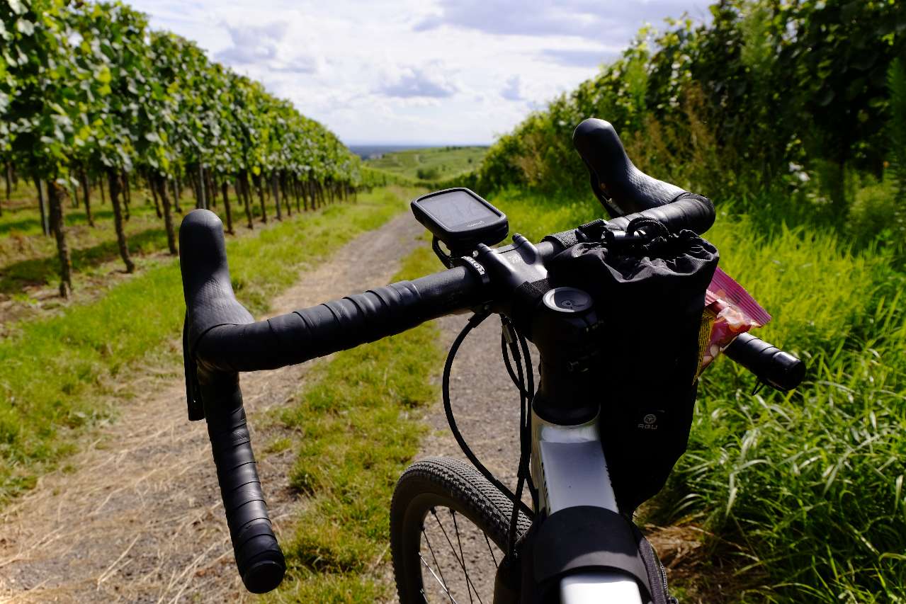 Gravel bike bar at agricultural road in vineyards