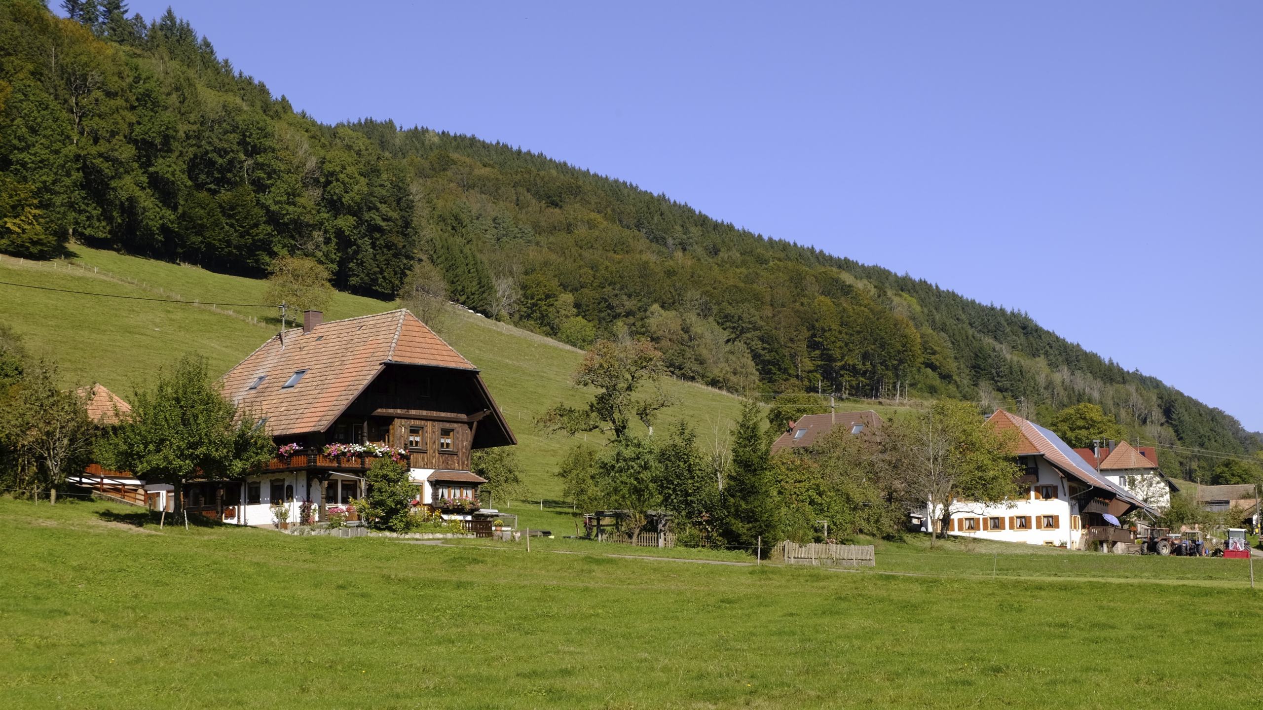 Traditional farmer's houses in front of forest hills in Black Forest Germany