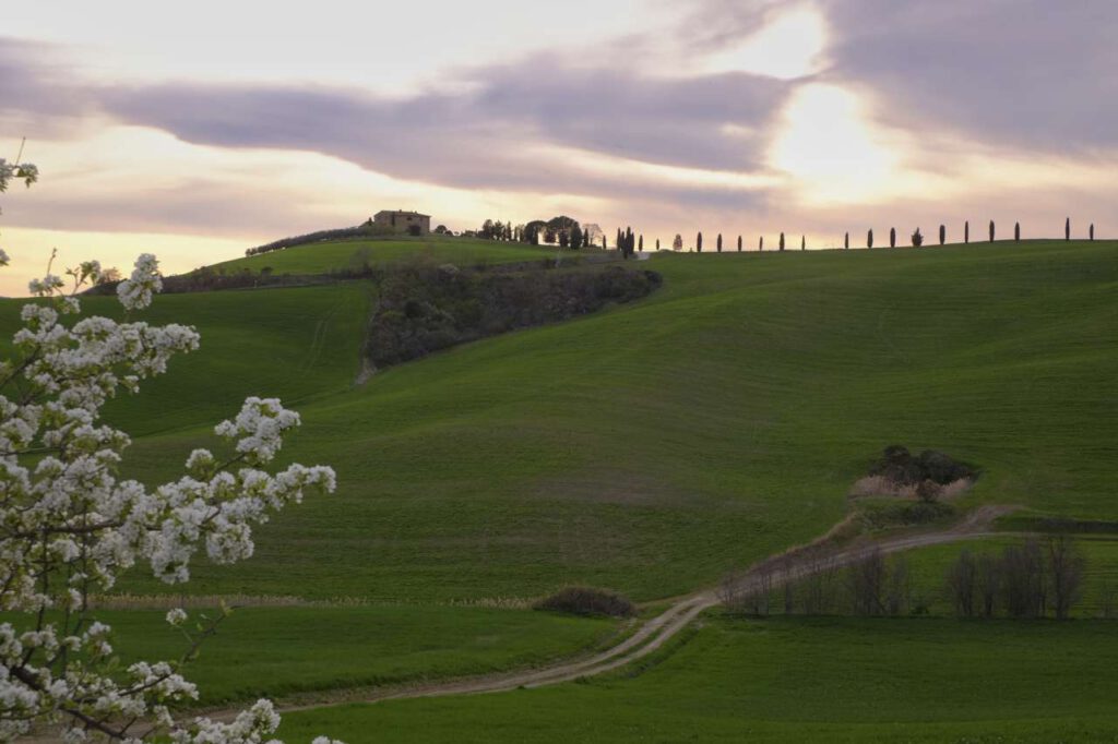 Dusk in Spring in Tuscany