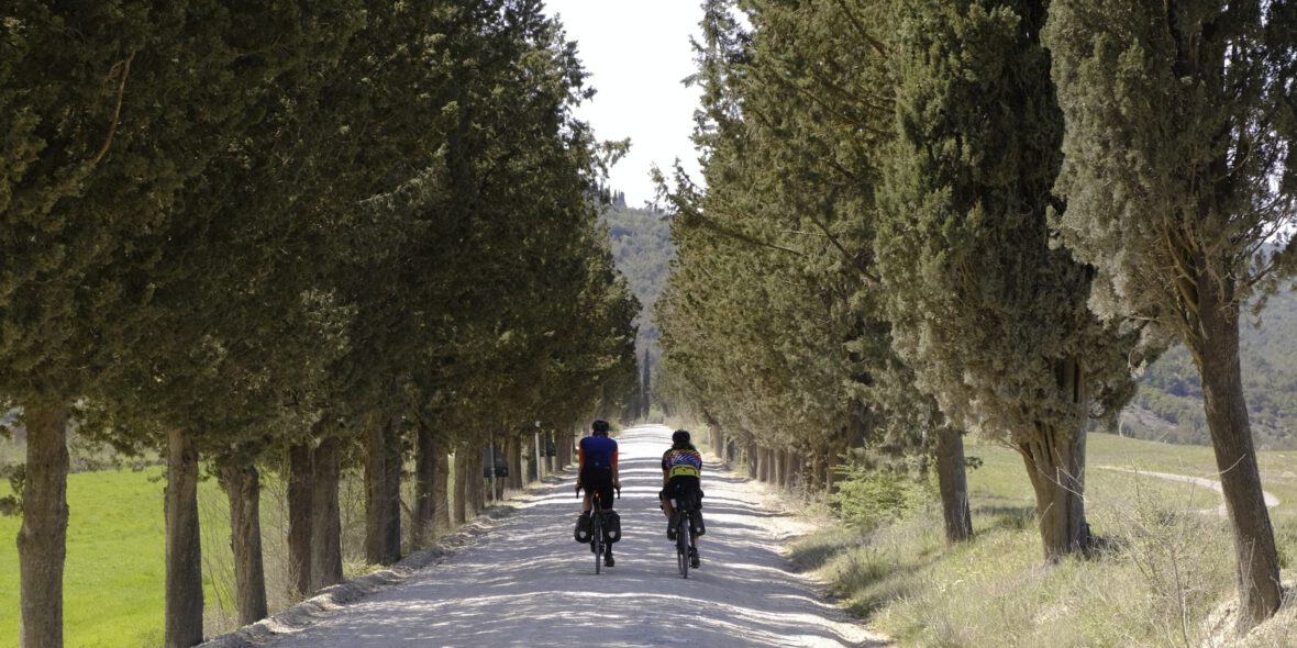 Zwei Gravelbiker auf einer Zypressen-Allee in der Toskana