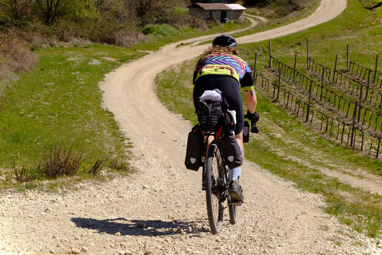 Gravel biker on a gravel road passing Tuscan vine