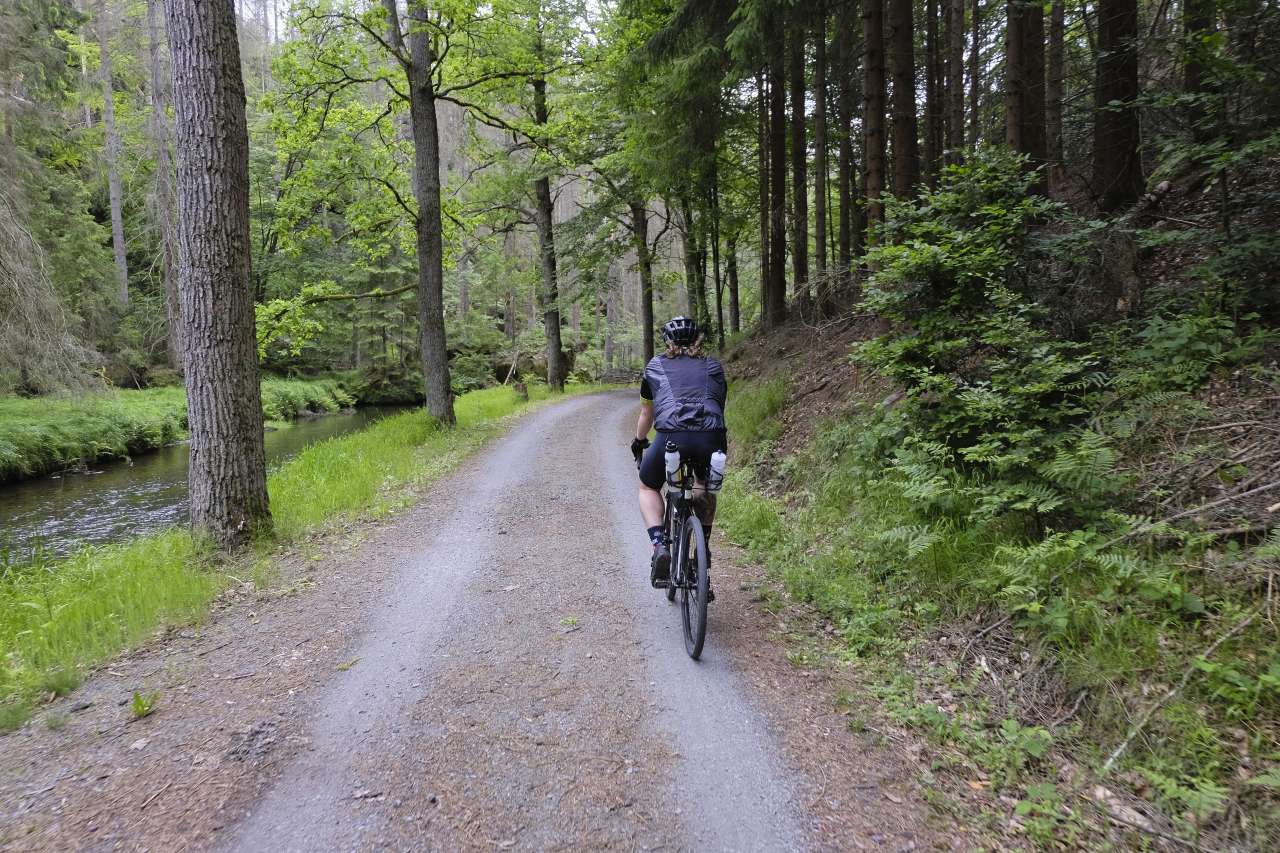 Gravel biker on a dirt road in the forest of Saxon Switzerland Germany