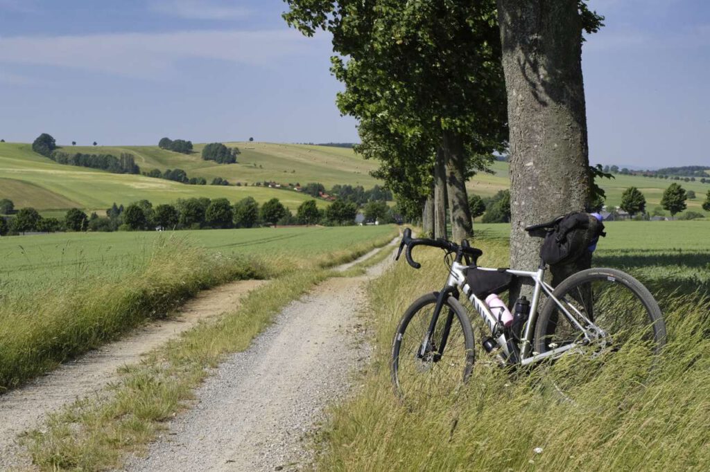 Gravel bike leaning on a tree on a dirt road in Saxony Germany