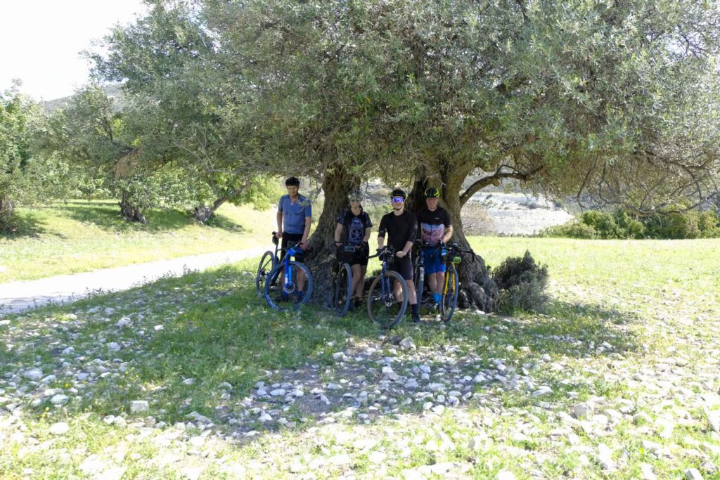 For gravel bikers posing under an old olive tree on Cyprus